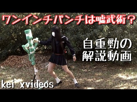 ワンインチパンチは嘘武術？【ジークンドー石井東吾・ブルースリー】自重発勁技術の解説動画