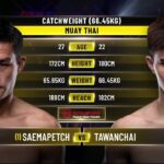 Saemapetch vs. Tawanchai | ONE Championship Full Fight