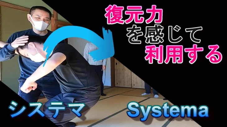 システマ：復元力を感じて利用する