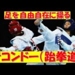 【世界の格闘技 #17】足のボクシング！韓国武道テコンドー