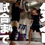38歳無職が沖縄で格闘技を始めた！#12（キックボクシングジム２ヶ月ミット打ち）