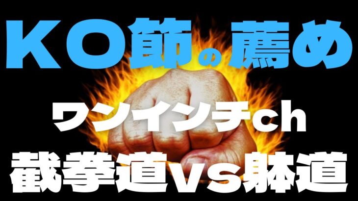 【KO節の薦め】ワンインチチャンネル！ついに遭遇！ジークンドーvs躰道！