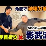 「握手で首を折るウェイブ」に「影武流体術」を+したら危険な技が誕生しました..