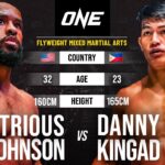 Demetrious Johnson vs. Danny Kingad | Full Fight Replay