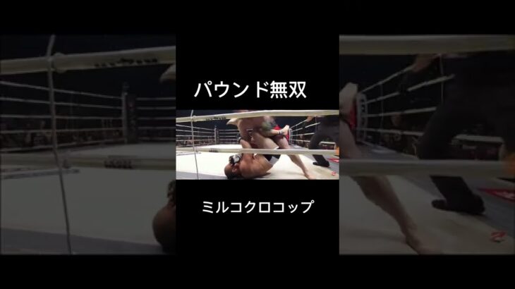 ミルコクロコップのパウンドいかつい#格闘技 #rizin