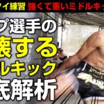 ミドルキックが上手くなる身体の使い方！【ムエタイ選手の強いミドルキックの蹴り方】