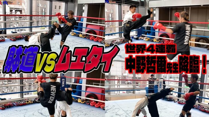 【躰道vsムエタイ】中野哲爾先生と一成君が対戦！どっから攻撃が来るんだ!?