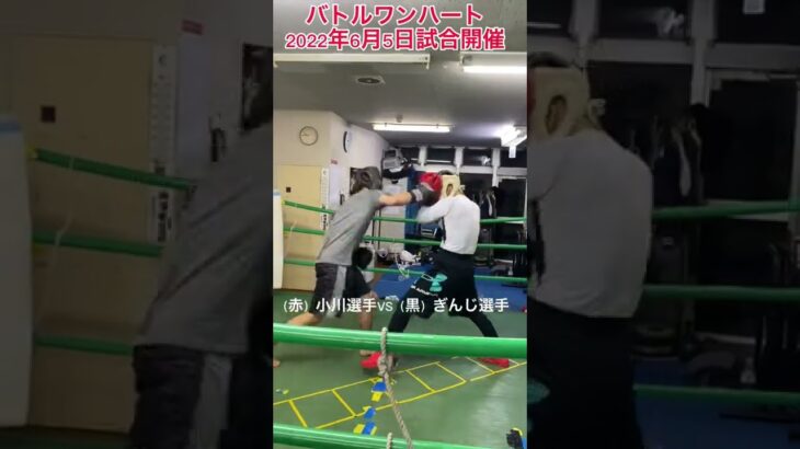 小川選手VSぎんじ選手#shorts #スパーリング#rizin #ボクシング #格闘技