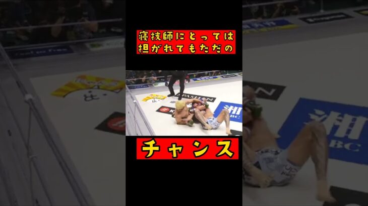 ホベルト・サトシ・ソウザ  大蛇の寝技！切り抜き #shorts #格闘技 #rizin #ホベルトサトシソウザ