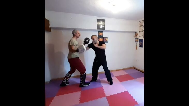 JEET KUNE DO  TRAINING