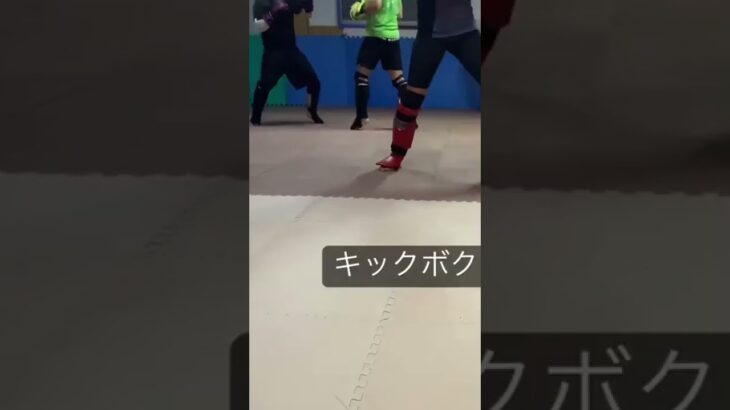 つくば市　田倉　MMA ブラジリアン柔術　キックボクシング