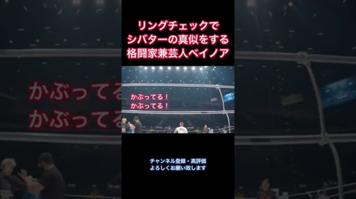 シバターに怒られるブラックパンサーベイノア #shorts #rizin