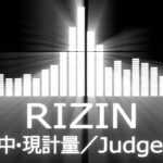 【RIZIN使用曲BGM】旧判定中の曲・現計量の曲【 Judgement】