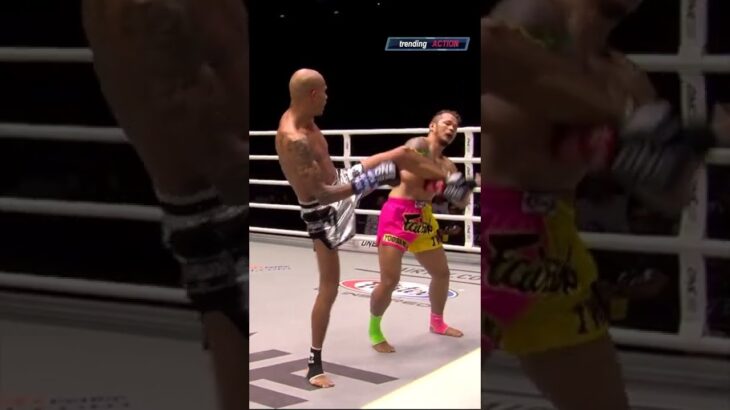 The Best Brutal KO Kicks #knockouts #mma #muaythai #knockout #shorts