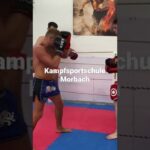 Training K1 Muay Thai