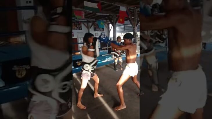 elbow Muay Thai fighter Padwork #muaythai #boxing #onechampionship #padwork