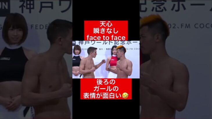 ばちばち？天心の瞬きなしface to face！#格闘技#RIZIN#frp#shorts#facetoface