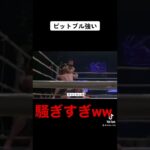 はしゃぎすぎて相手に怒られる格闘家#rizin #shorts #総合格闘技 #朝倉未来