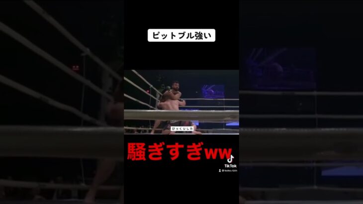 はしゃぎすぎて相手に怒られる格闘家#rizin #shorts #総合格闘技 #朝倉未来