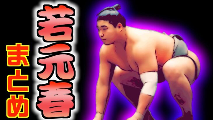 相撲界の名勝負製造マシーン “若元春” の熱戦取組13番