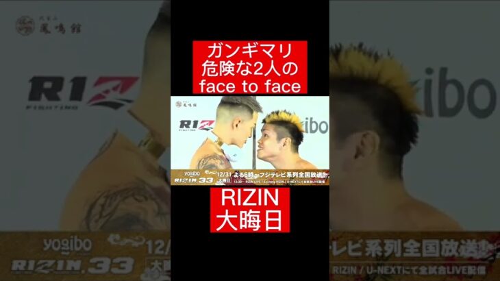 ガンギマリ危険な2人のface to face！#RIZIN#格闘技#frp#shorts