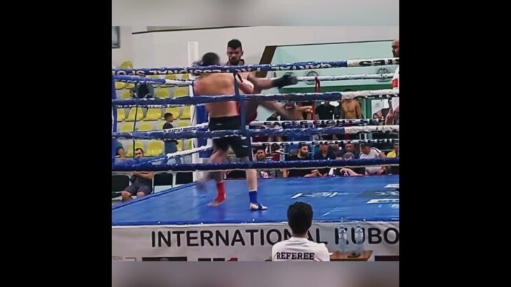 #boxing #georgia #k1 #kickboxing #muaythai #saenchai #tysonfury #snoopdogg #lion #یاغی #keşfet #war