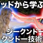 フバッドから学ぶジークンドー技術【ジークンドー技術解説】