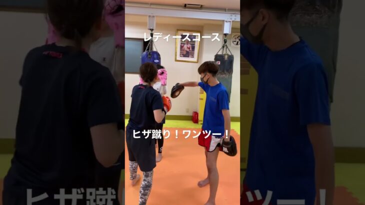 [キックボクシング   ダイエット　女子　女性] レディースコース！　ヒザ蹴り！ワンツー！