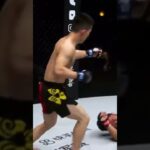 Shaolin monk in MMA,Nocks out by cross on body, one championship channel