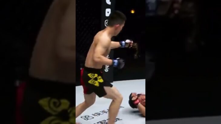 Shaolin monk in MMA,Nocks out by cross on body, one championship channel