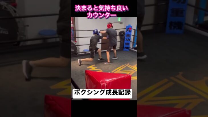 【boxing】ボクシング成長記録