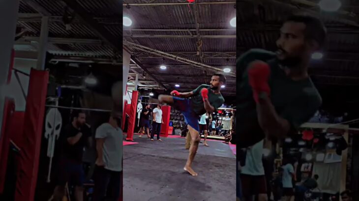 side kick #kick #mma #fighter #ufc #onechampionship #onepridemma #viral #trending #mfn #workout