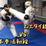 【日本拳法初段 対 ムエタイ経験者】三本勝負 日本拳法 気仙沼道場 防具稽古#日本拳法 #武道 #格闘技