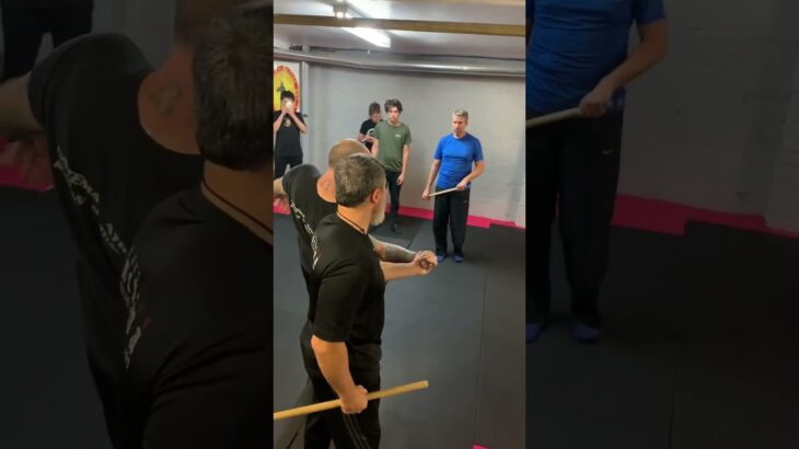 Class footage Oct 2022 #shorts #martialartstraining #systema #movementculture #instructor