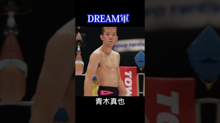 DREAM vs RIZIN 日本人ライト級どっちが強いと思いますか？