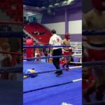 Mehmet Zeki Kaya kickboxing k.o #kickboxing #fyp #k1 #ko #sports #boxing #short