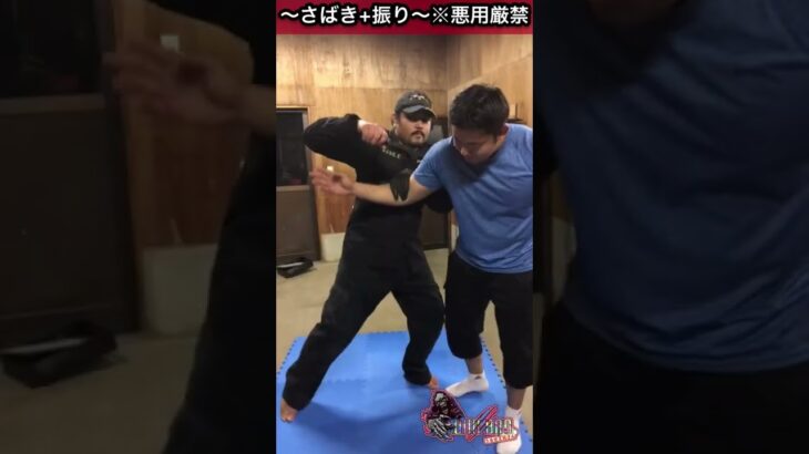 ナイフ捌き+振り※悪用禁止【元軍人・元警察】#shorts #コンバットシステマ #ショート #martialarts #護身術