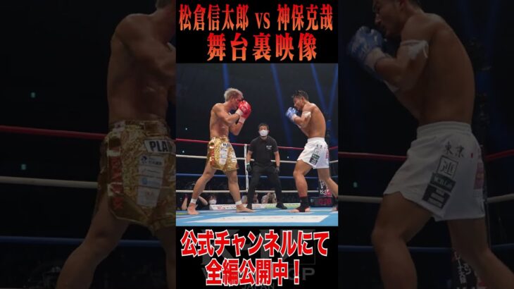 〜激闘の舞台裏〜松倉 信太郎vs神保 克哉 9.11 K-1横浜大会舞台裏動画を公開中！ #Shorts