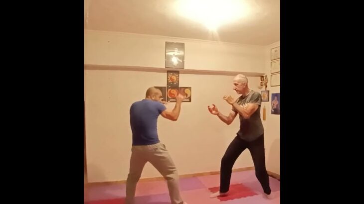 JEET KUNE DO STRONG TECHNIQUES