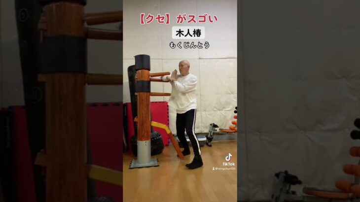 [トレーニング動画⑥]#朝活 #ジークンドー #詠春拳 #silat