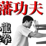 【世界の格闘技・武術講座】ブルース・リー拳法「振藩功夫」とはどんな武術なのか！