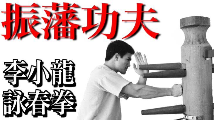 【世界の格闘技・武術講座】ブルース・リー拳法「振藩功夫」とはどんな武術なのか！