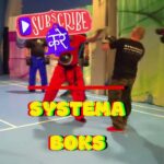 Speed punch SYSTEMA /Fast Knockout
