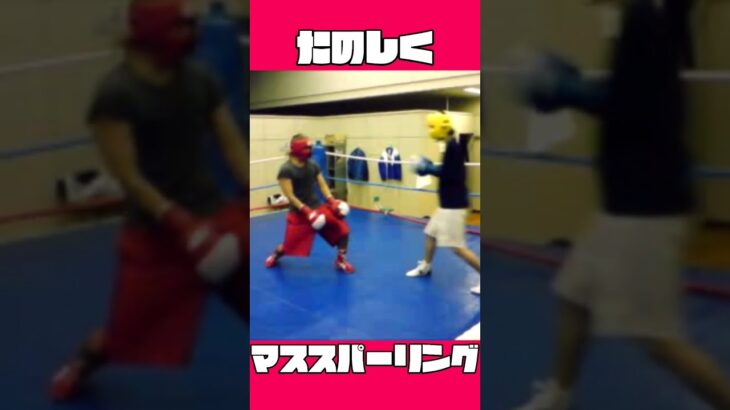 ボクシングの練習風景です🐱#boxing#スパーリング#マススパーリング#sparring#格闘技