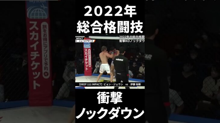 【2022最高の総合格闘技KO集】総合格闘技界で起こった衝撃ノックダウン KO集 UFC RIZIN ONE Brutal Knockouts #shorts