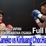 Akihiro Kaneko vs Kiriluang Chor Hapayak 22.12.3 EDION ARENA OSAKA
