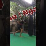 MuayThaiChaiya Basic Combination #muaychaiya #muaythai #ムエタイ #muaythaitraining #muaythaitechnique