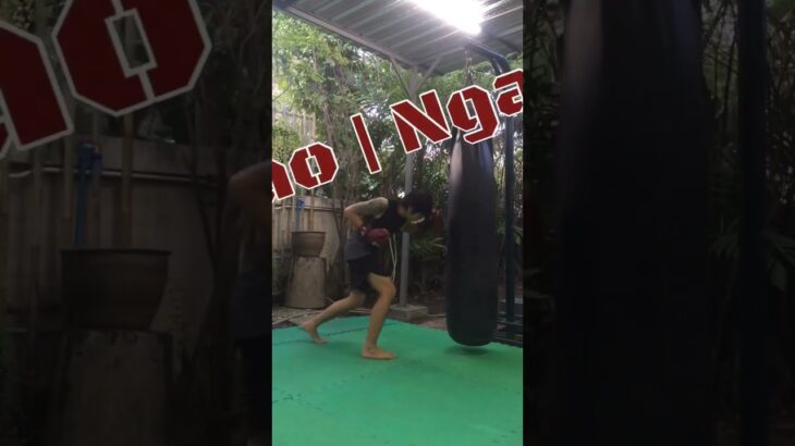 MuayThaiChaiya Basic Combination #muaychaiya #muaythai #ムエタイ #muaythaitraining #muaythaitechnique