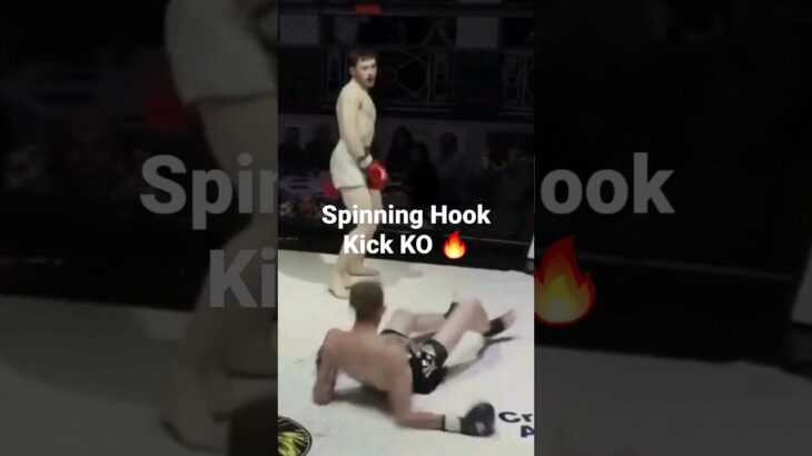 Spinning Hook Kick KO 🔥🌪 #muaythai #kickboxing #karate #k1 #mma #lethwei #fight