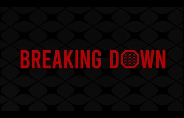 ブレイキングダウンは格闘技なのか？#格闘技　#breakingdown #ボクシング